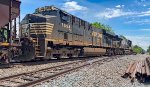 NS 7594